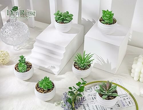 Assorted small succulents in white pots on white steps